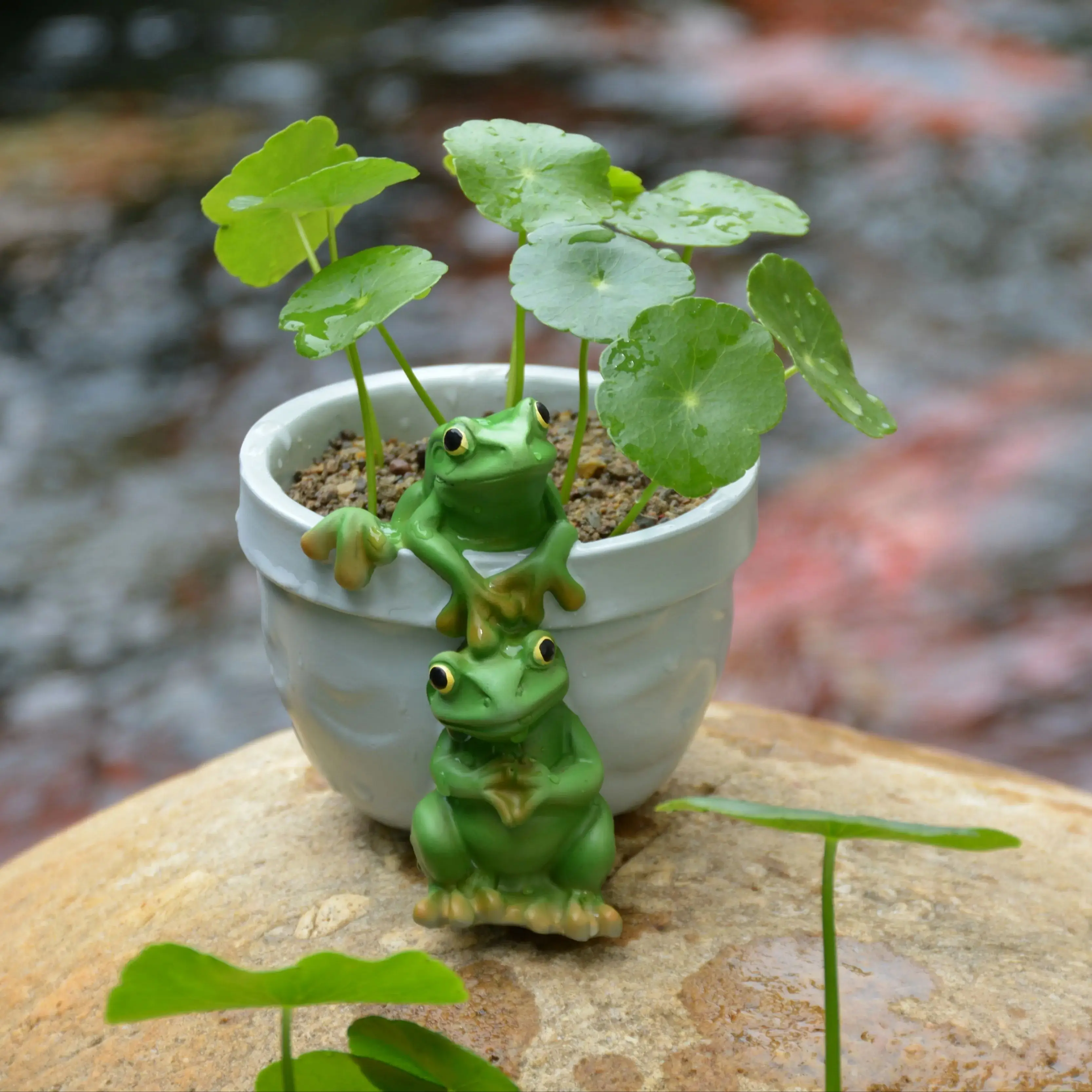 1 Piece of Resin Frog Flower Pot Sculpture Ornament, Suitable for Use in Gardens, Offices, Succulent Plant Pots, and for Indoor and Outdoor Flower Pot Decoration and Home Decoration.