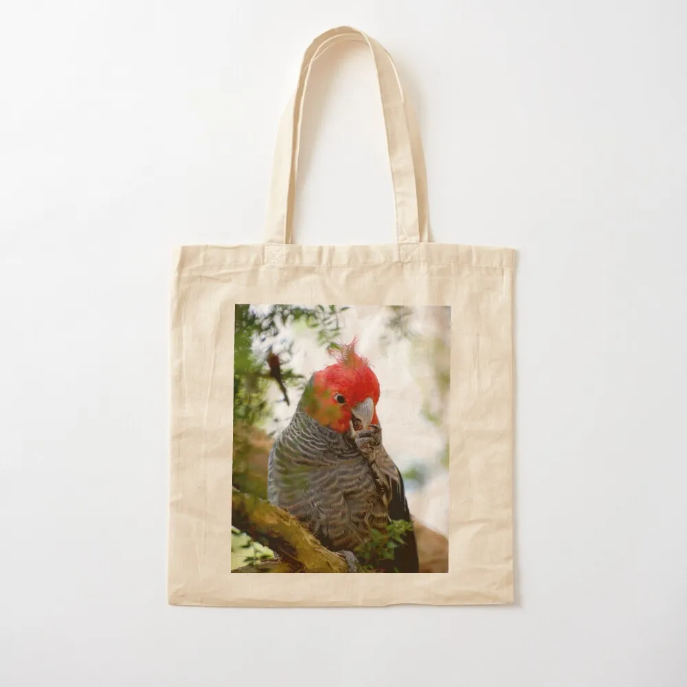 الدس في حمل حقيبة مخصصة حقيبة قماش حقيبة اليد السيدات تسوق حمل النساء