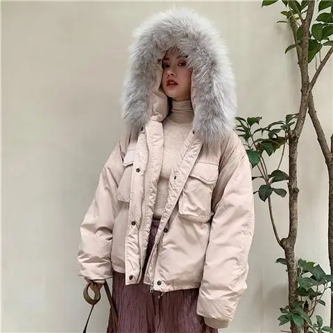 سترة قطنية جديدة غير رسمية لخريف وشتاء 2025 متعددة الاستخدامات للنساء #5