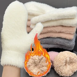 Guantes de invierno para mujer, guantes cálidos de Cachemira de felpa, elasticidad sólida, manoplas suaves con dedos completos, guantes gruesos de punto a prueba de viento