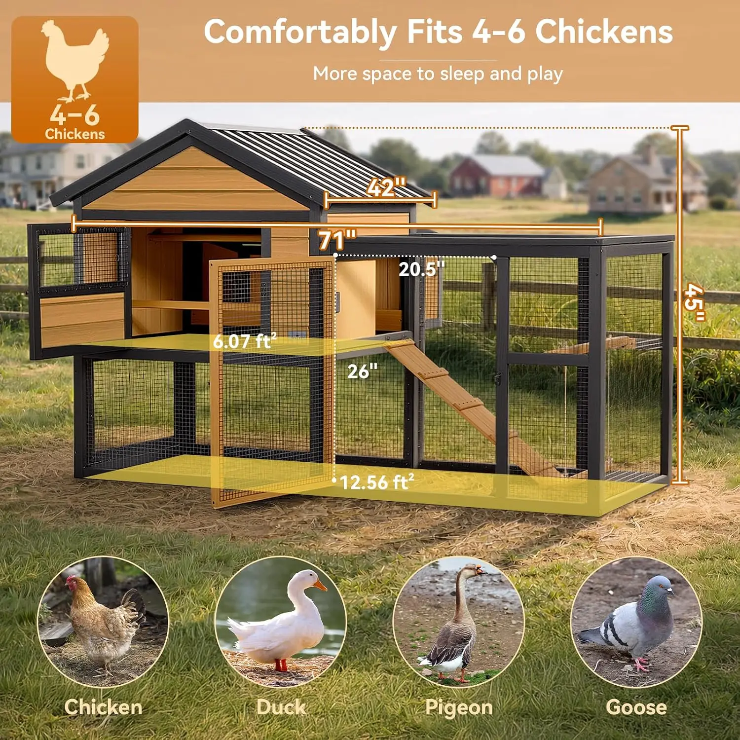 Outdoor Chicken Coop with Run for 4-6 Chickens 3 Nesting Boxes, Customized