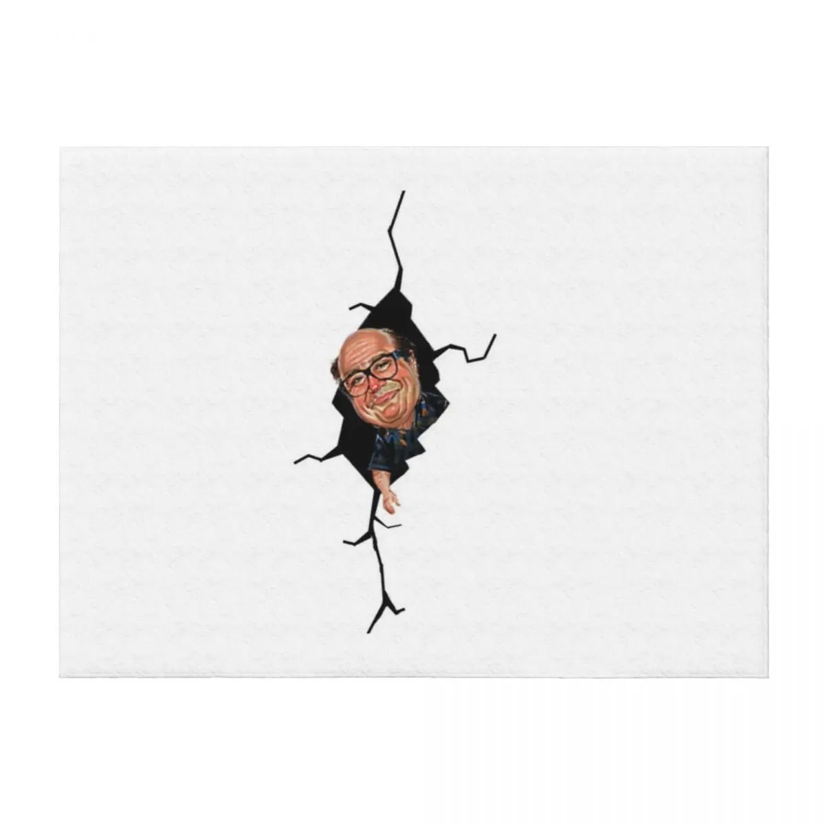 

Big Danny Devito Throw Blanket Sofas Decorative Beds Sofa Throw Decorative Sofa Blankets