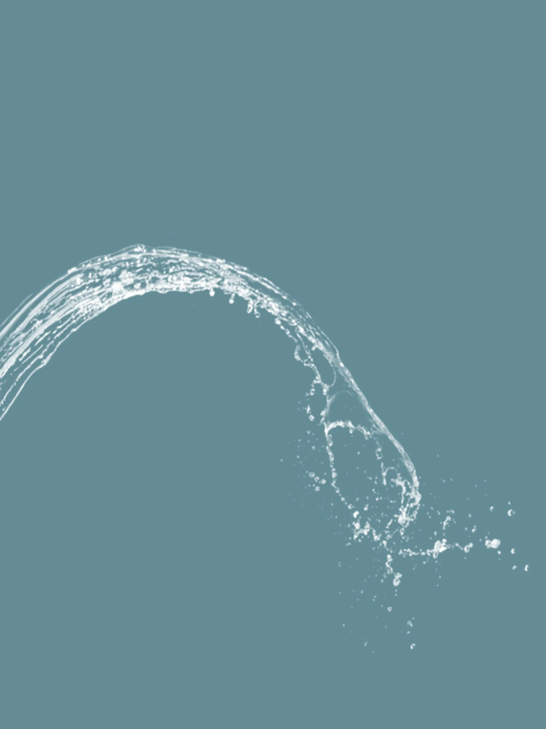 SAMODRA Knopf-Bidet – nicht elektrisch, selbstreinigende Doppeldüse (vorne und hintere Waschung), Süßwasser-Bidet, Toilettensitzaufsatz – Detail 14