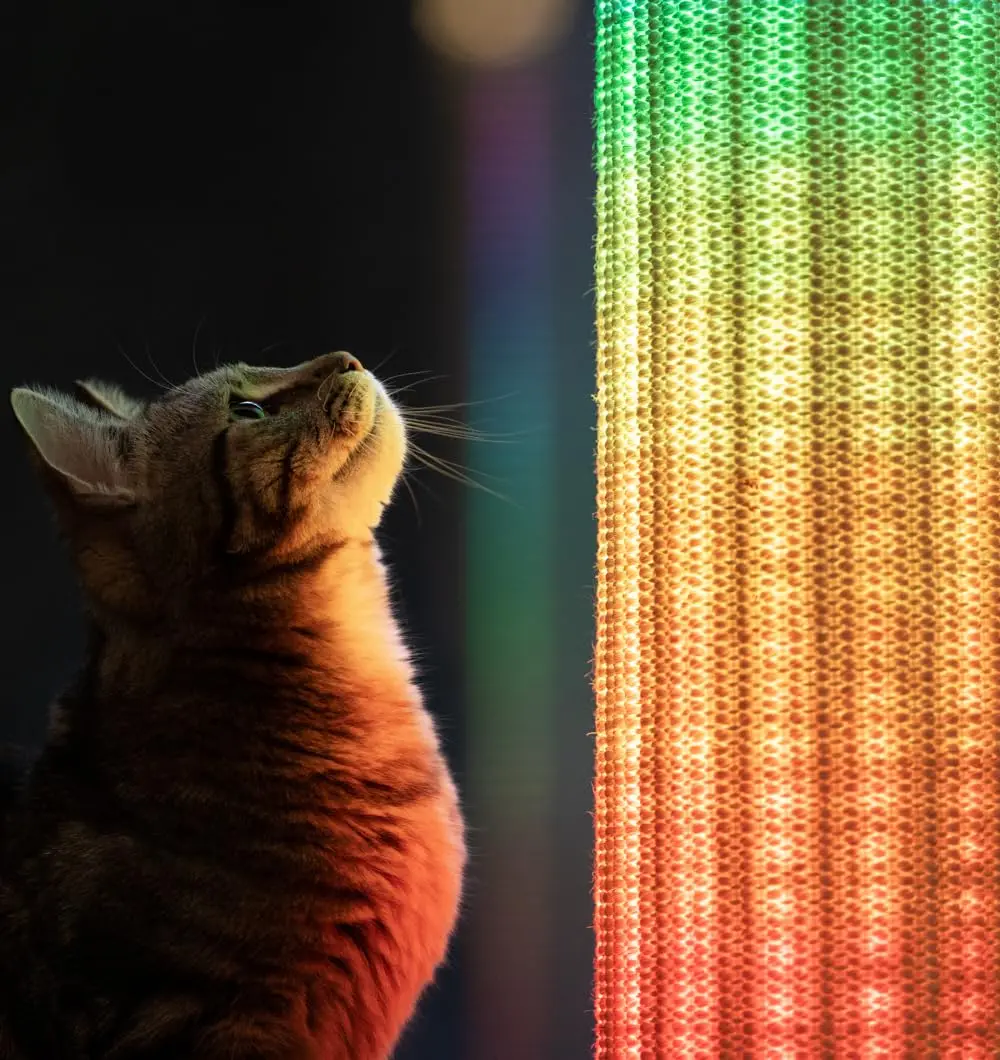 Switch LED Cat Scratching Post | Sustainable & Extra Tall 33” Cat Scratcher.Boredom Buster for Indoor Cats, Customized