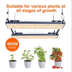 led lights Lamp for plants greenhouse Sam----ngLM301H Chips LED Grow Light With Meanwell Driver For Plants grow light
