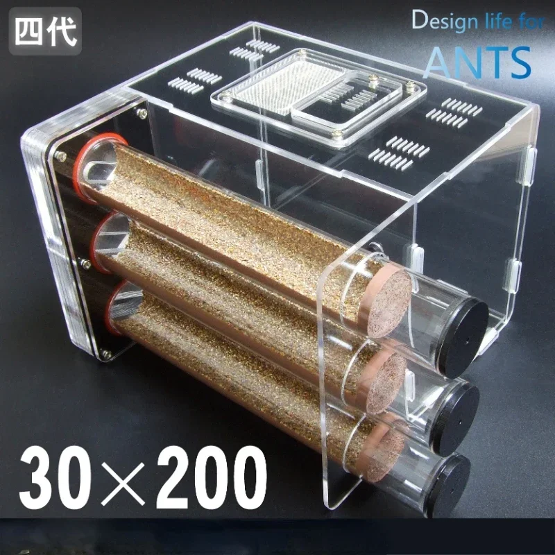Три бионических пробирки 30*200 мм, ландшафтный дизайн бетона, бамбуковая совместная мастерская, вилла муравьев, профессиональное акриловое гнездо муравьи Три бионических пробирки 30*200 мм, ландшафтный дизайн бетона, бамбуковая совместная мастерская, вилла муравьев, профессиональное акриловое гнездо муравьи