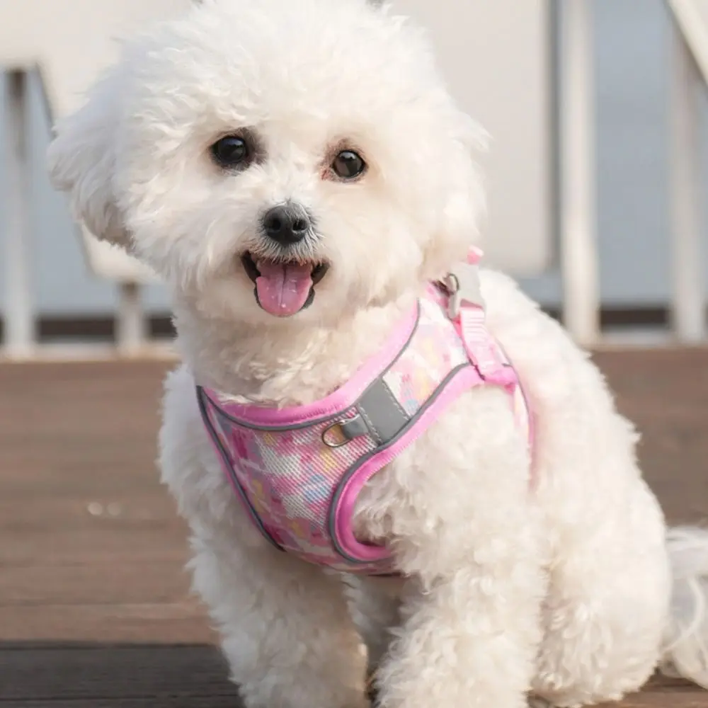 

Adjustable Dog Harness Leash Set Breathable Reflective Pet Vest Style Harness Kawaii Mesh Pet Chest Strap Training Use