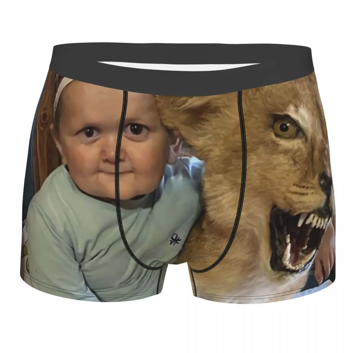 Lion Men Boxer Briefs Hasbulla Magomedov Breathable Creative Underpants Top Quality Print Shorts Birthday Gifts