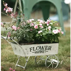 Personalized And Creative Flower Pot Courtyard Garden Hand Card Iron Do Old Retro Ornaments Outdoor Storage Bonsai Basin