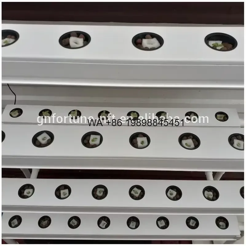 Wmwmnu Automatic Hydroponic NFT System Planting Kit for Outdoor Indoor Leafy Vegetable Growing
