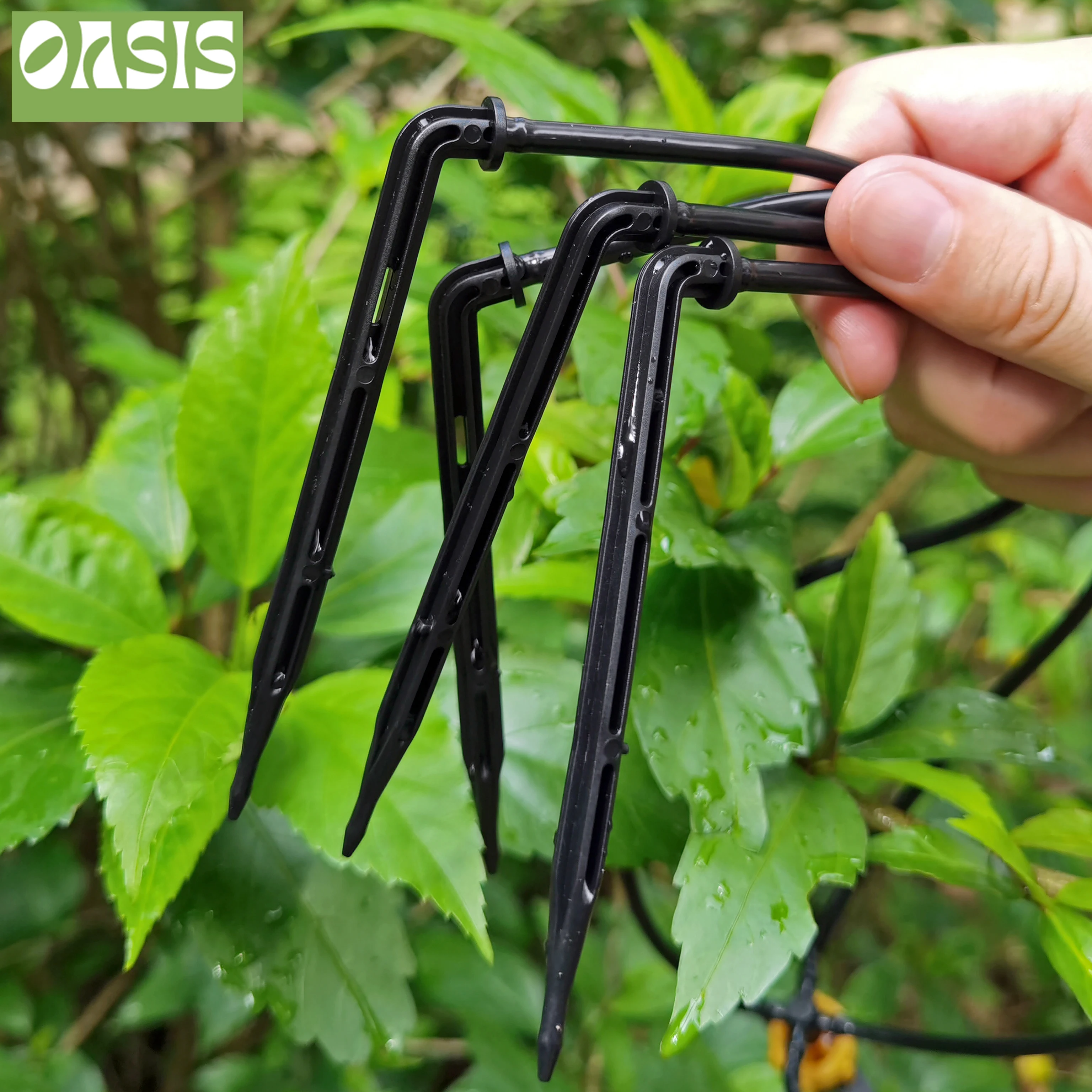 OASIS 50PCS Bend Arrow Dripper Micro Drip Irrigation Kit Emitters for 3/5mm Hose Garden Watering Saving Micro Dripper Greenhouse