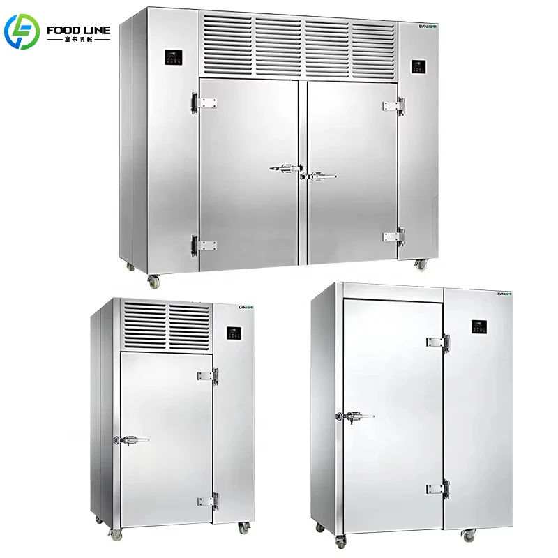 Low Temperature -40*C -60*C -80*C Optional IQF Tunnel Bread Fruit Rapid Blast Freezing Deep Freeze Refrigeration Customized