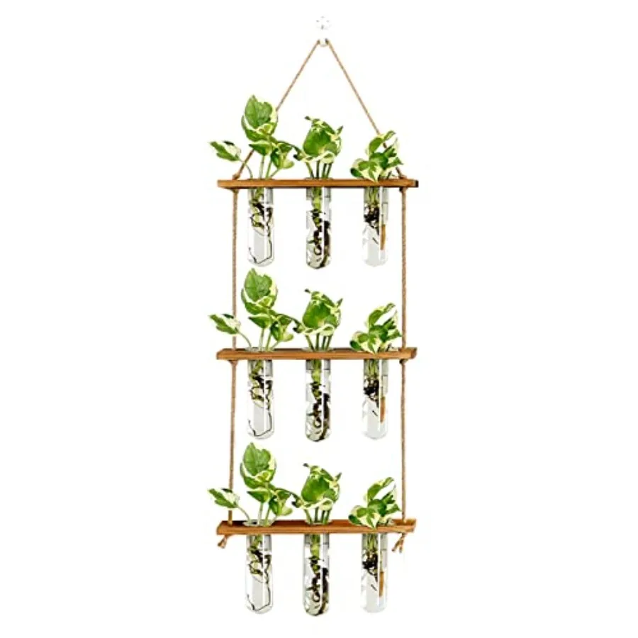 Wall Hanging Propagation Station with Wooden Stand Glass Test s Tiered Planters Wall Terrarium for Home Office Plant Hanger Flo