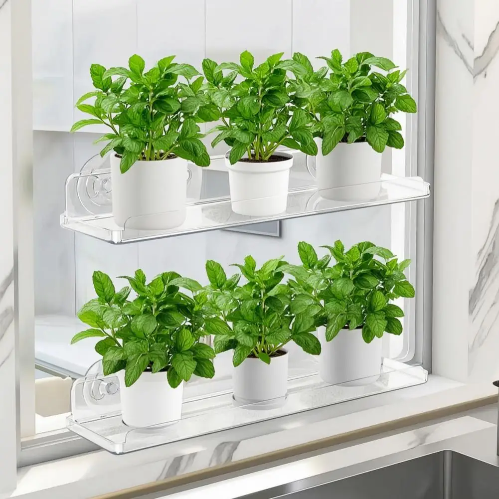 Window Garden Shelf Acrylic Floating Shelf with Suction Cups Sturdy Window Plant Display Rack Wall Mounted Bathroom Mirror