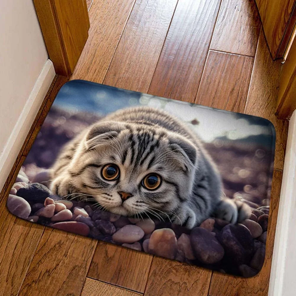 Cat Pattern Optical Illusion Doormat Non-slip Water-absorbing Bathroom Carpet Durable 40×60CM Bedroom Door Rug Home Decor