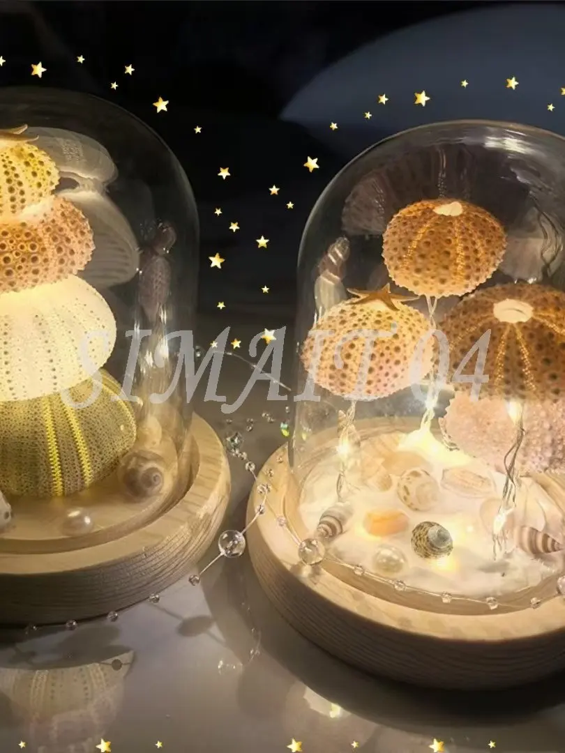 DIY sea urchin night light handmade luminous romantic decorative ornament dream birthday gift to girlfriend starfish shell