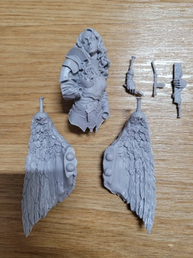 Buyer photo of this resin kit