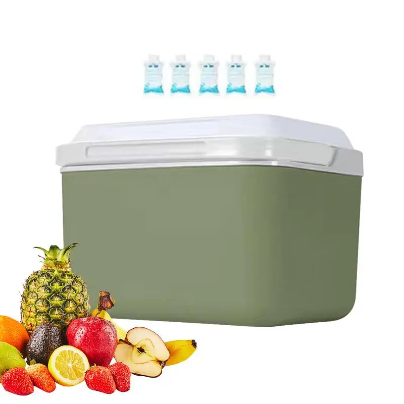 

5L Mini Refrigerated Cold Box Outdoor Camping Cooler Organizer For Drinks And Food Cooling Insulation Box Vehicle Accessories