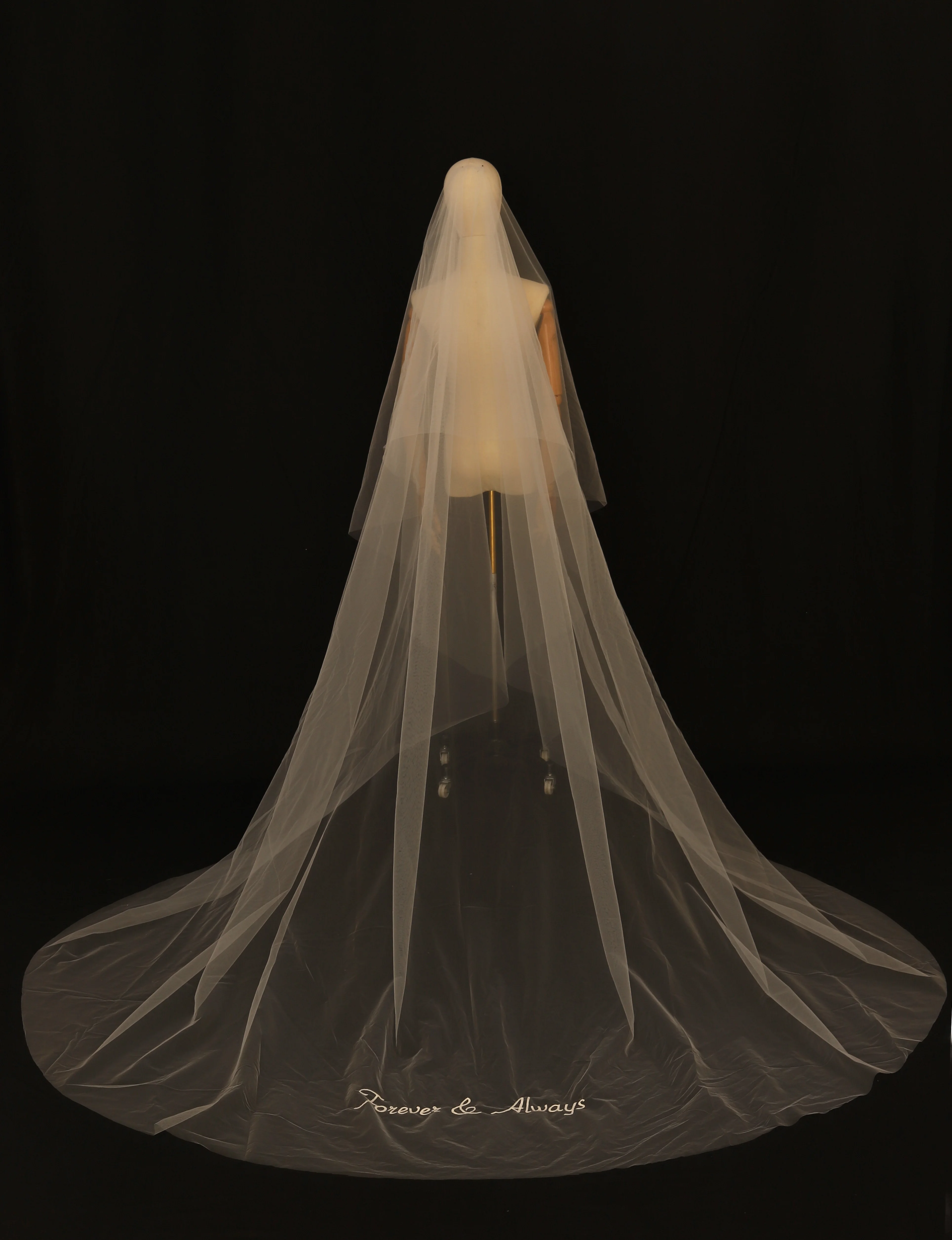 

Wedding Veil Bridal Travelling Collar Long Veil Engagement Vow Embroidery Floor Length Double Layer Veil Main Wedding Veil