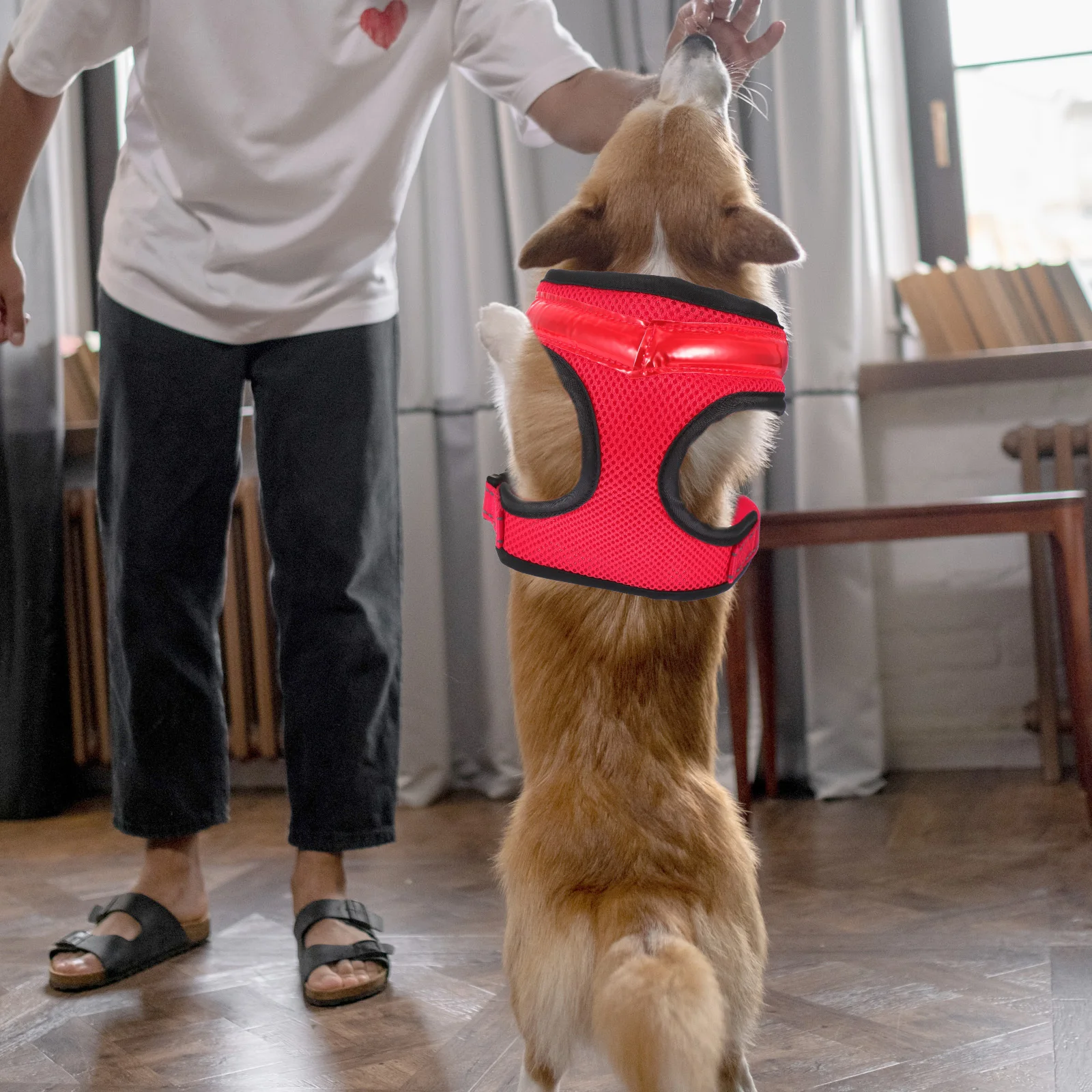 

1set Led Luminous Dog Usb Charging Pet Dog Set Fashion Summer Puppy Vest For Night Walking Breathable Pet Vest