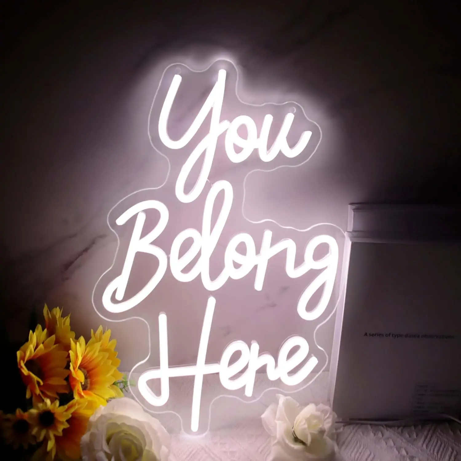 

You Belong Here Neon Sign USB Motivational LED Neon Light for Classroom Bar Party Gaming Room Bedroom Decoration Gift Wall Light