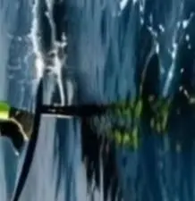 1250 Hydrofoil High Aspect Wing Mediterranean Coastal Long Glide Performance Downwind Riding Advanceding