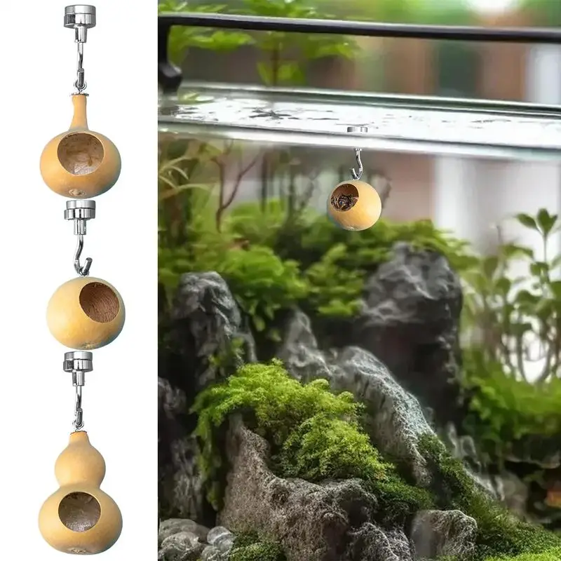 Jumping Spider House | Jumping Spider Hiding Nest With Magnetism | Natural Gourds Jumping Spider Enclosure For Jumping Spiders
