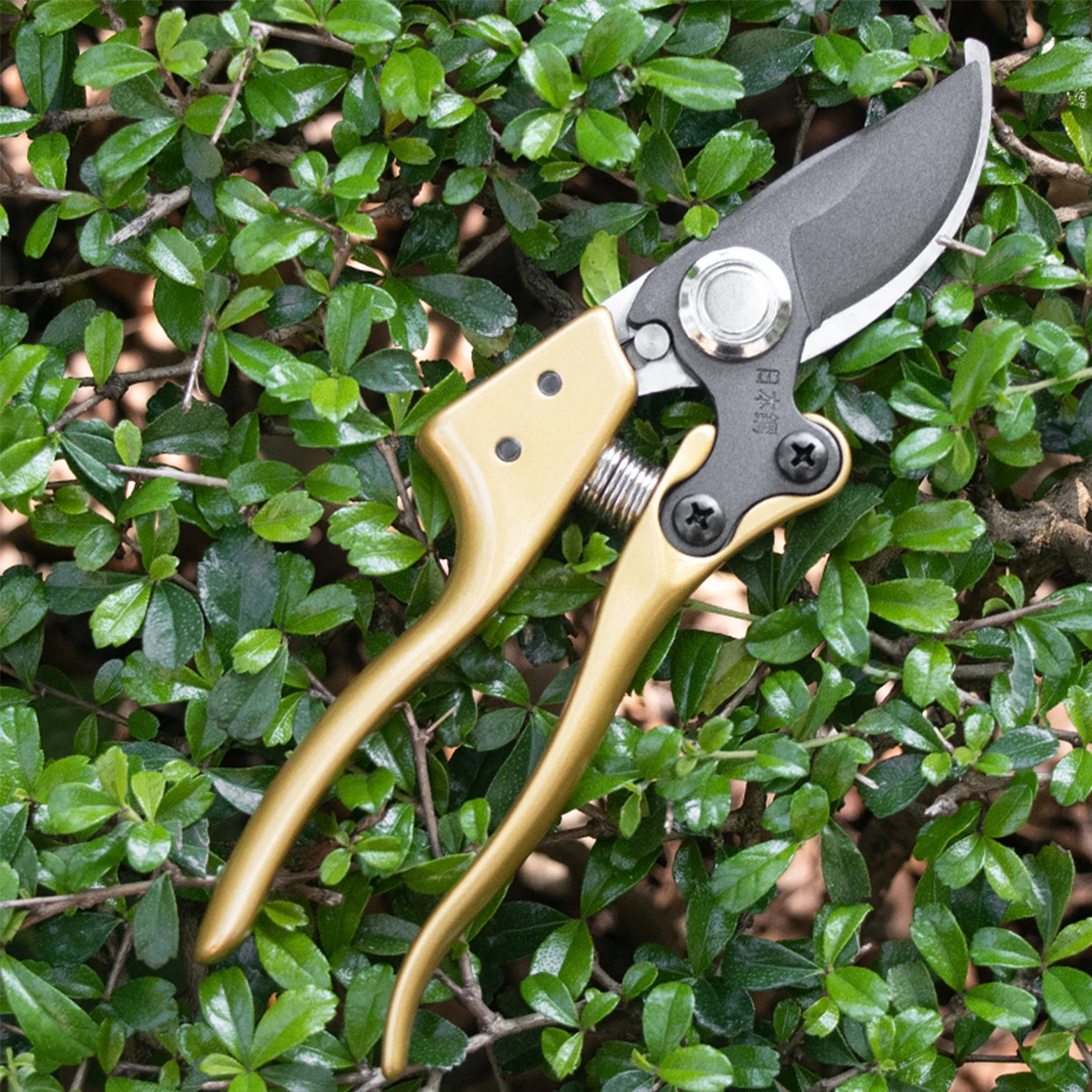 SK5 Steel Garden Shears | Professional Pruning Clippers for Tree/Branch, Labor-Saving Design & Multi-Functional Use