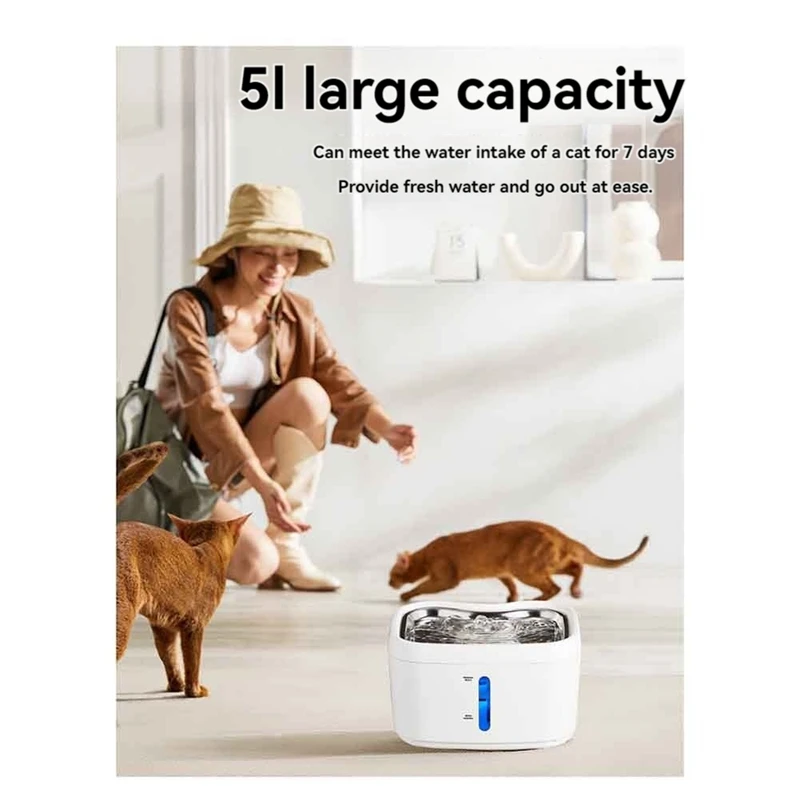 Pet Water Fountain Water Dispenser For Cats & Small Dogs With Quiet Pump Safe Easy To Clean Water Filters Included