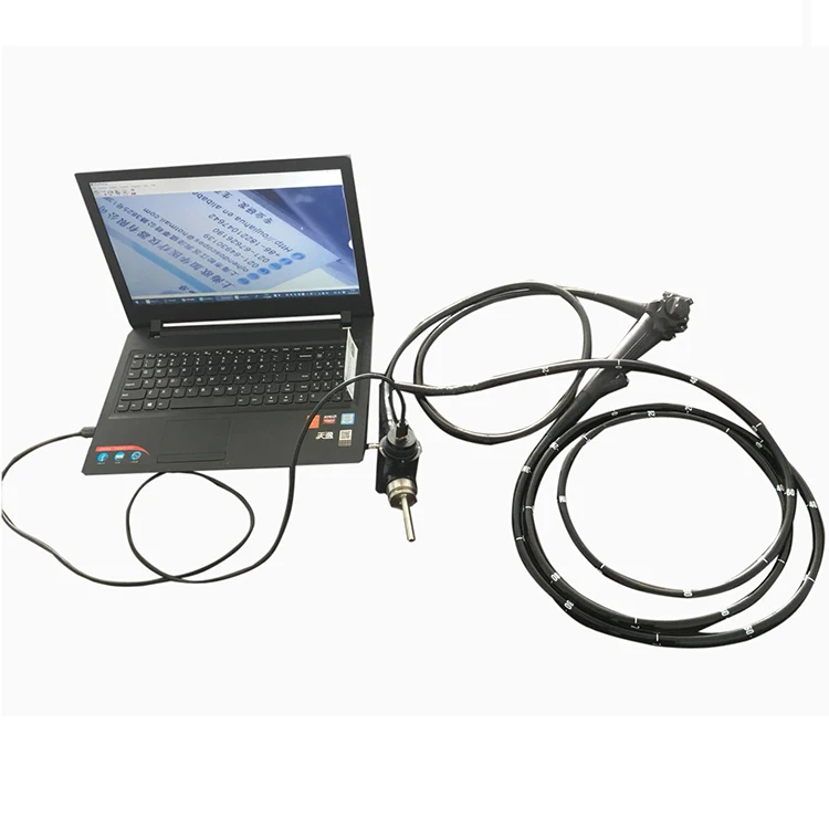 Veterinarian Device Clinic Flexible Video Endoscope Animal Colonoscope Veterinary Gastroscope