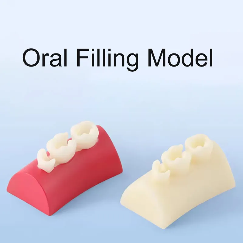 3/5/10Pcs Oral Filling Model Dental Inlay Exercise Model Block Composite Dentistry Teaching Stud Resin Materials Practice Models