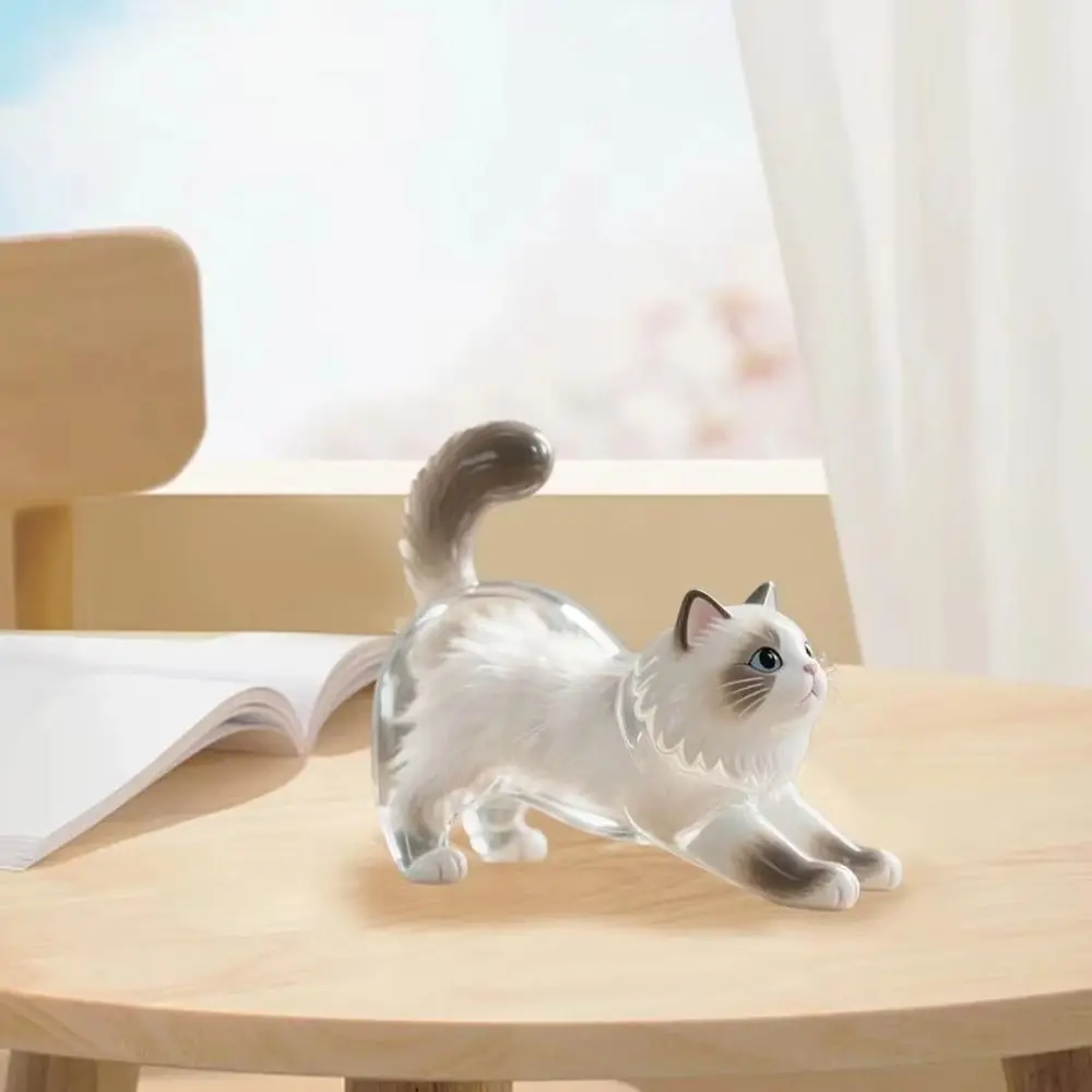 شفافة القط الشعر سلسلة مفاتيح مصنوعة يدويا الحيوان على شكل القط صندوق تخزين الشعر المحمولة سيامي القط الكلب الفراء تخزين قلادة