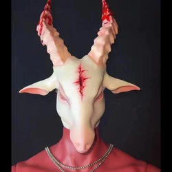 1/3 BJD Doll Head No Makeup DIY Resin Animal Boy Doll Head Doll Accessories For 1/3 BJD Toys Without Makeup Toys Gift