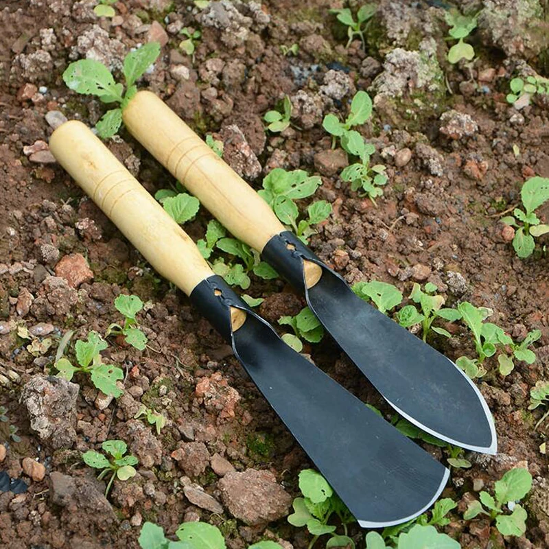 أدوات الزراعة الزراعية المنزلية مجرفة صغيرة حديقة الفن حفر مجرفة الخضروات البرية زراعة الثوم الزهور والعشب