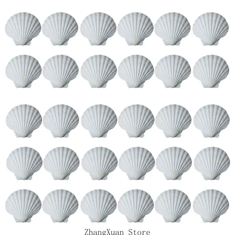 30 Pcs White Scalloped Shells for Elegant Beach Decors Crafting Painting Baking and Celebration Ocean Theme DIY Natural