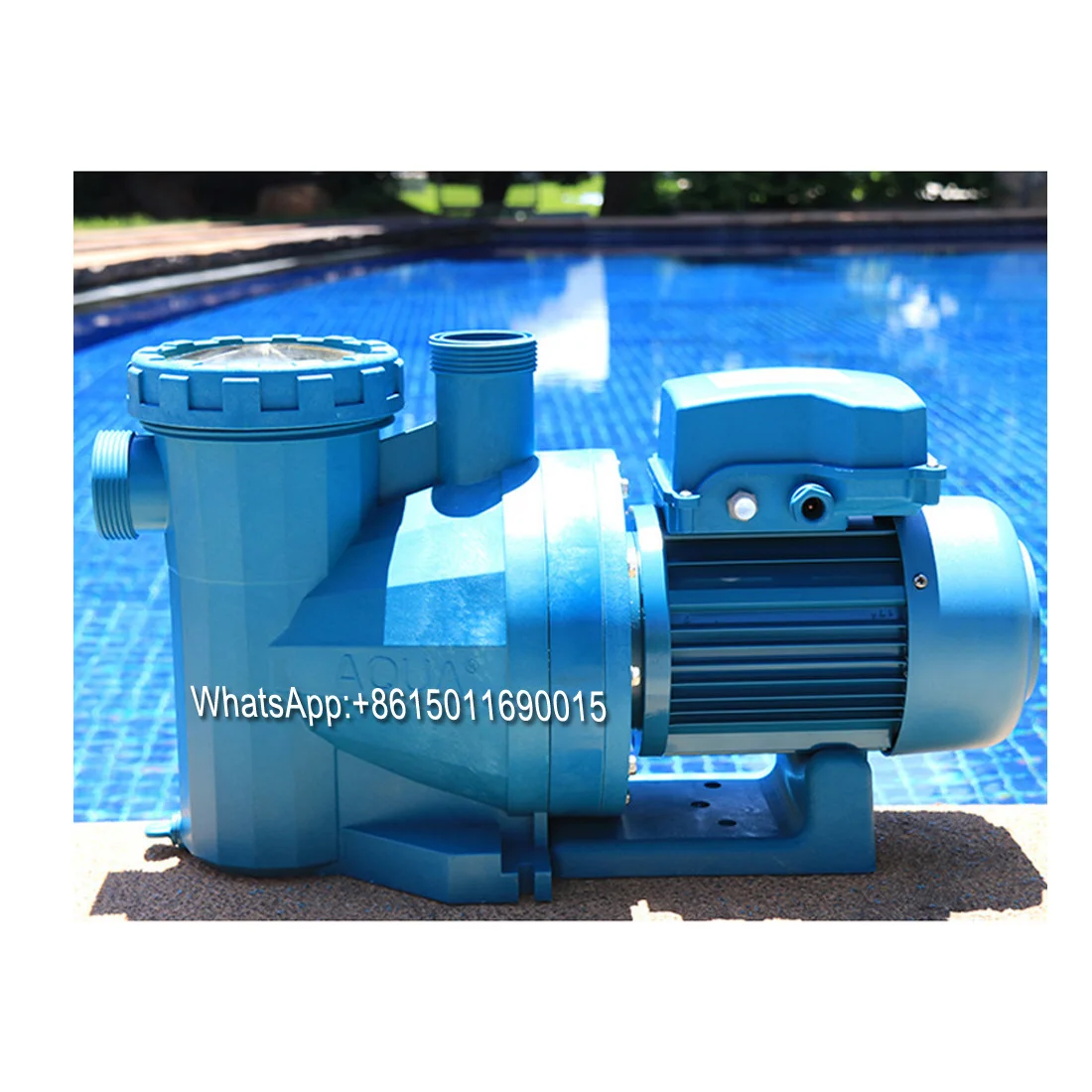 AS Water Pump Swimming Pool Circulating Filter Water Pump Hydrotherapy Massage Sewage Pump Quality Assurance