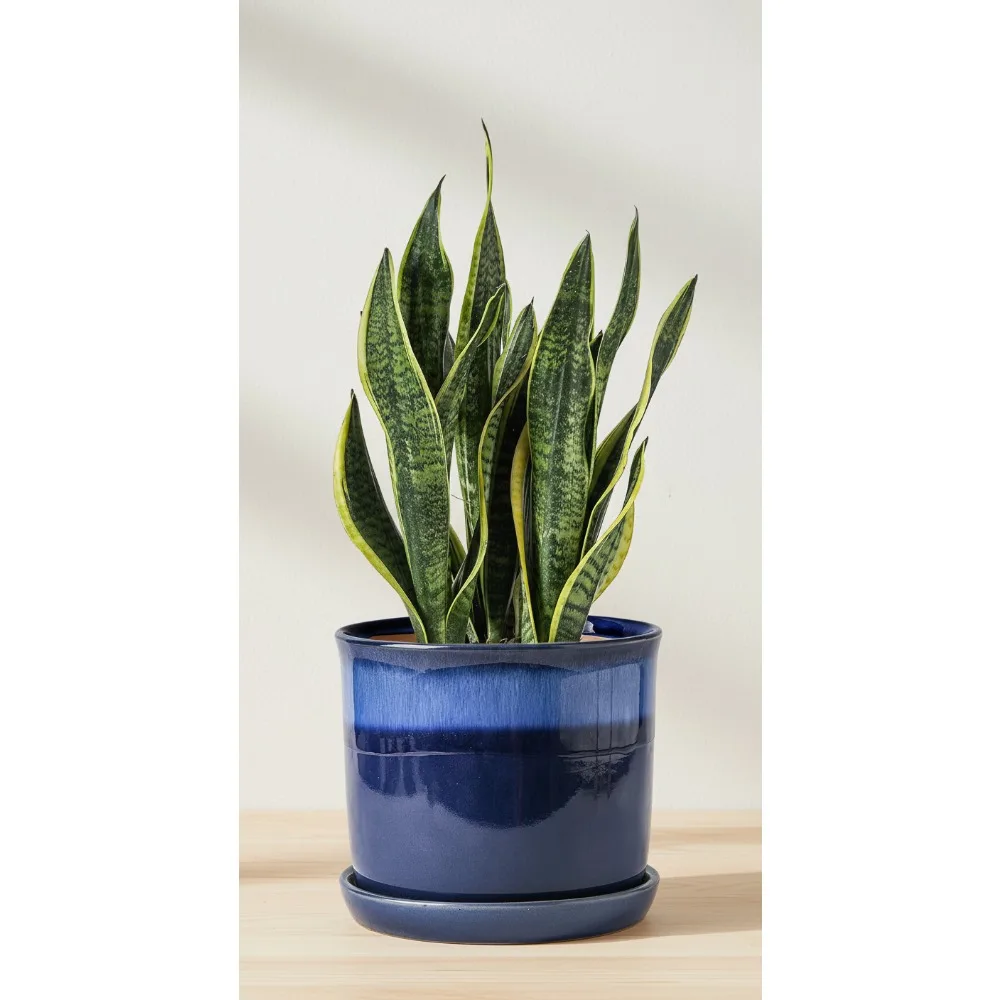 

8 Inch Ceramic Plant Pot with Drainage Hole & Saucer - Gradient Blue Flowerpot for Indoor Outdoor Plants