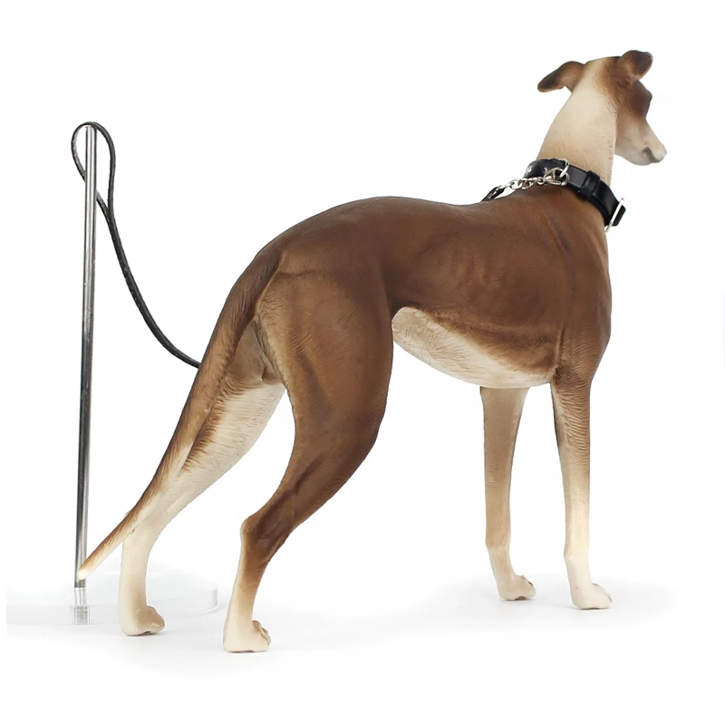 Realistic Greyhound Animales Toy Action Figure - Collectible Model for Kids & Adults, Animal Collection Display Toy