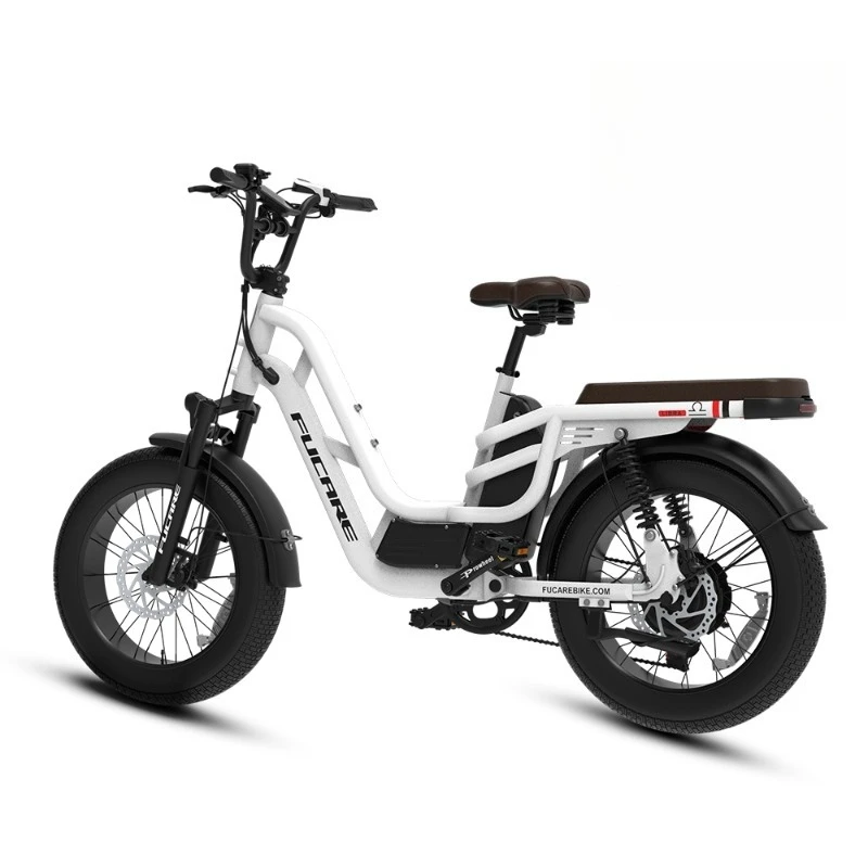 

Electric Bike 750W Ebike Electric Mountain Bike 48V 20AH Battery Electric Bicycles for Adults