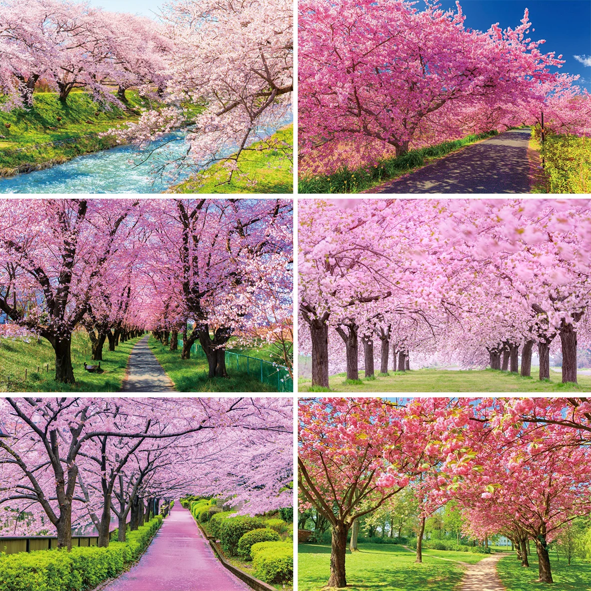 Spring Cherry Blossom Trail Photography Backdrop Natural Landscape Forest Flower Grass Garden Park Portrait Photocall Background