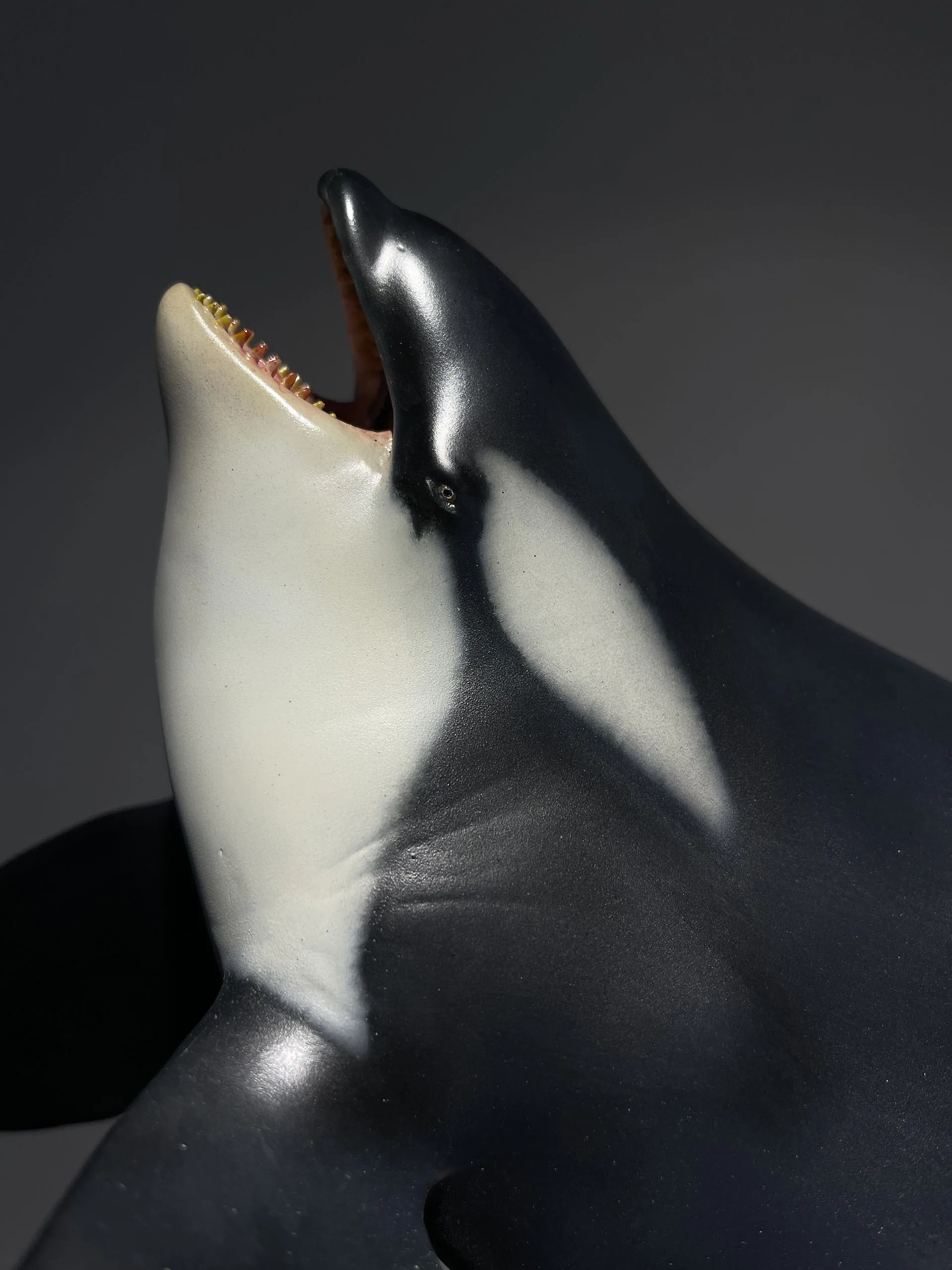 Memory Museum 1:15 Scale Killer Whale Statue Animal Scene Decoration Painted Realistic Birthday Gift Toys For Adult