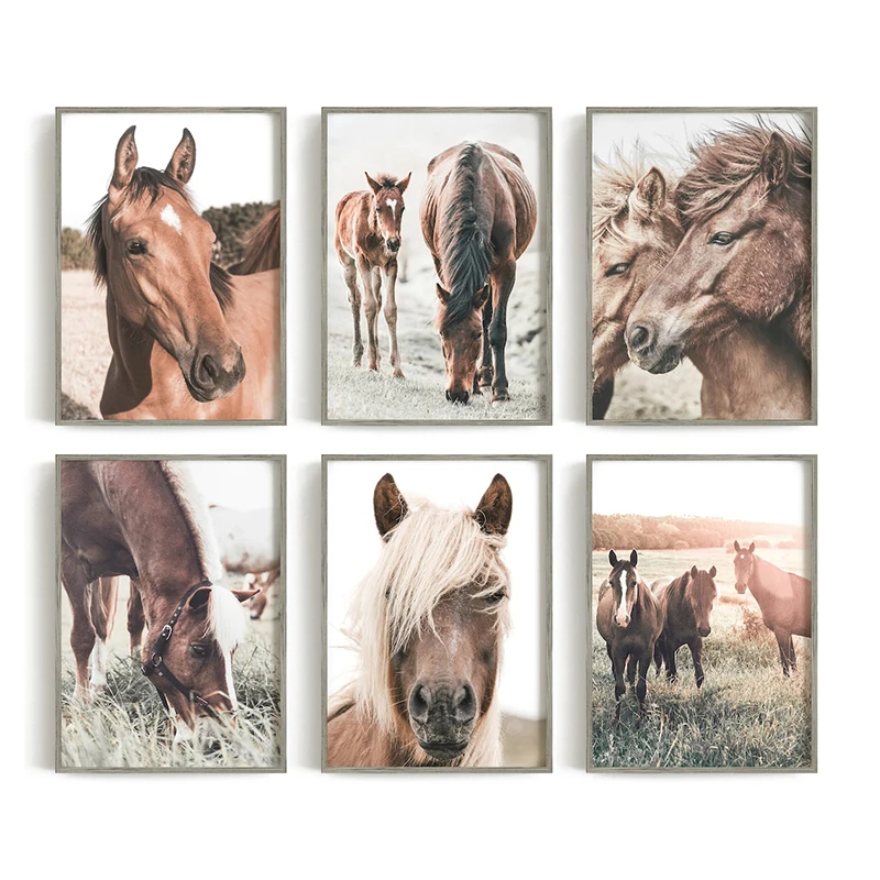 Horse Poster Print Modern Horses In The Field Wall Art HD Picture Canvas Painting Living Room Mural Home Decoration Gift Cuadros