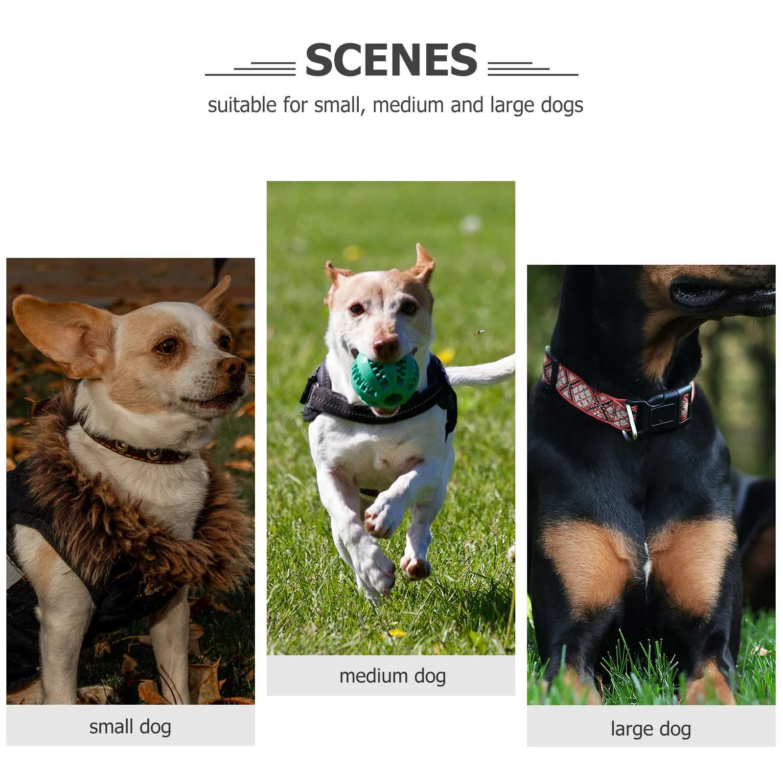 

Rivet Dog Collar Black Small Adjustable Durable Studded Pet Collar Ideal for Cats Dogs Puppy Accessories Dog Rivet Collars