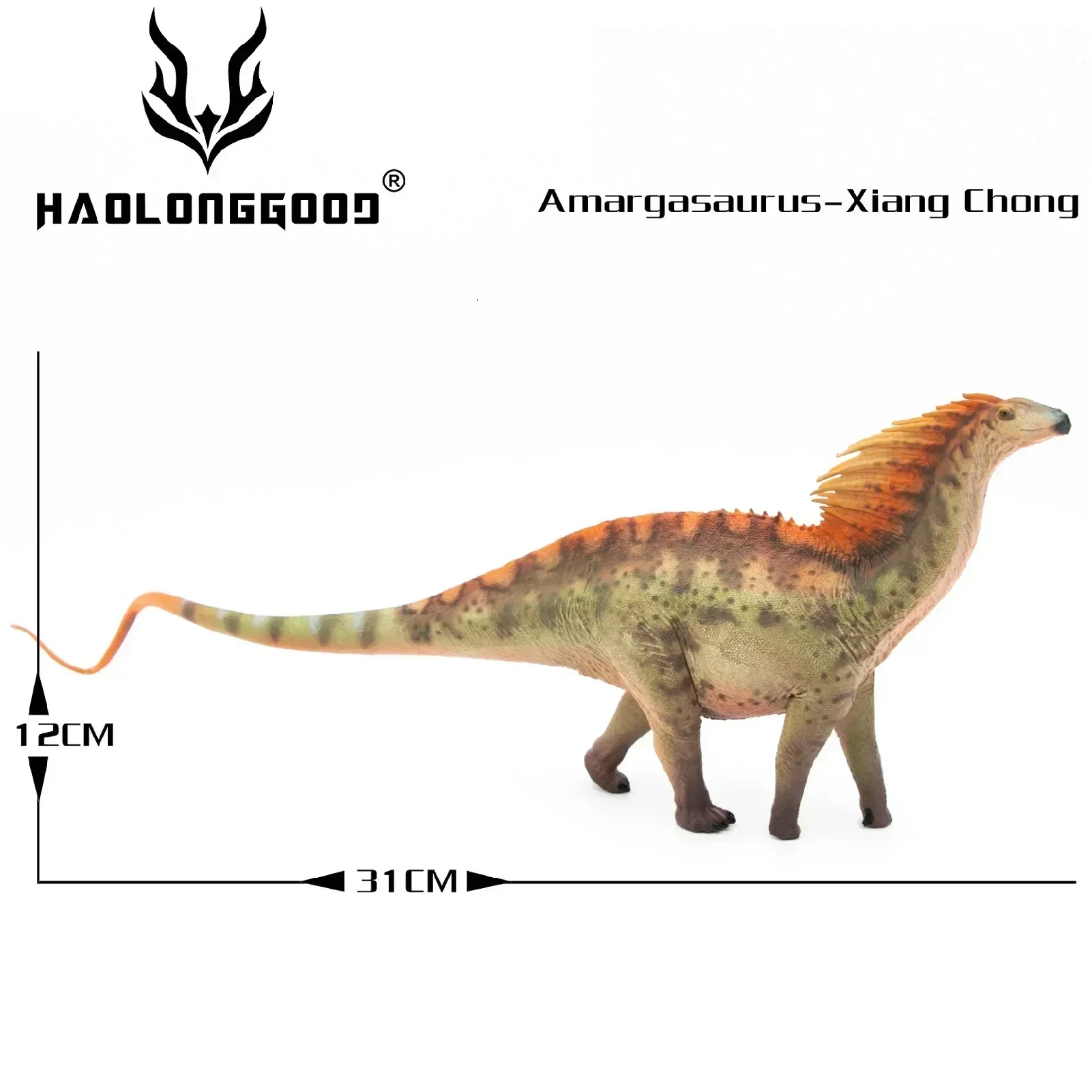 1:35 HAOLONGGOOD Amargasaurus Dinozaur Klasyczny zabawkowy model zwierzęcia