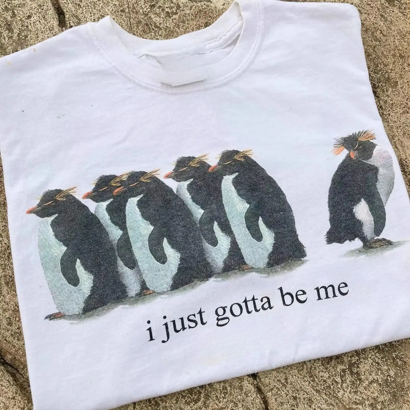 New Cute Fashion Little Penguin Oversized Loose T-shirt Short-sleeved T-shirt with A Niche School Style Tops Tees Unisex