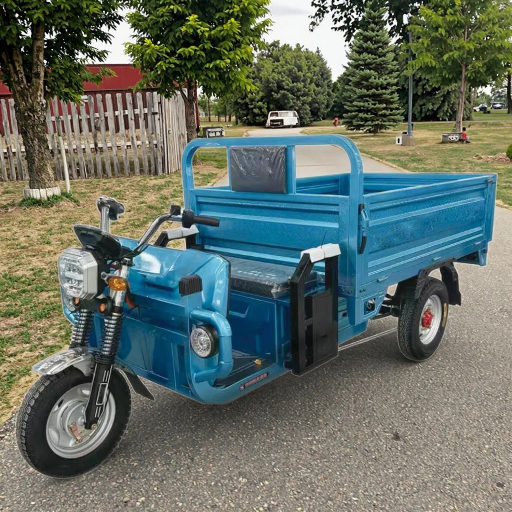 Factory Outlet Heavy Duty 1200W Electric Cargo Tricycle Open Body with LCD Display Steel Material 400kg Payload 11-20km/h Speed