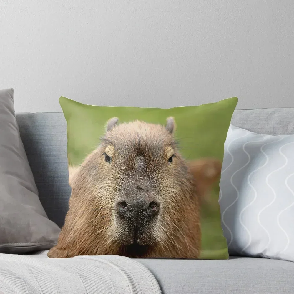 

Portrait of a rather handsome capybara Throw Pillow Ornamental Pillow Covers For Sofas Custom Cushion Photo New year pillow