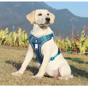 Arnés de perro ajustable reflectante para el Ejército Labrador de perros medianos Labrador Ejército Oxford Capacitación de entrenamiento de tela Caminar al perro cómodo duradero 8 Mejor arnés de perro del ejército de ventas - №6