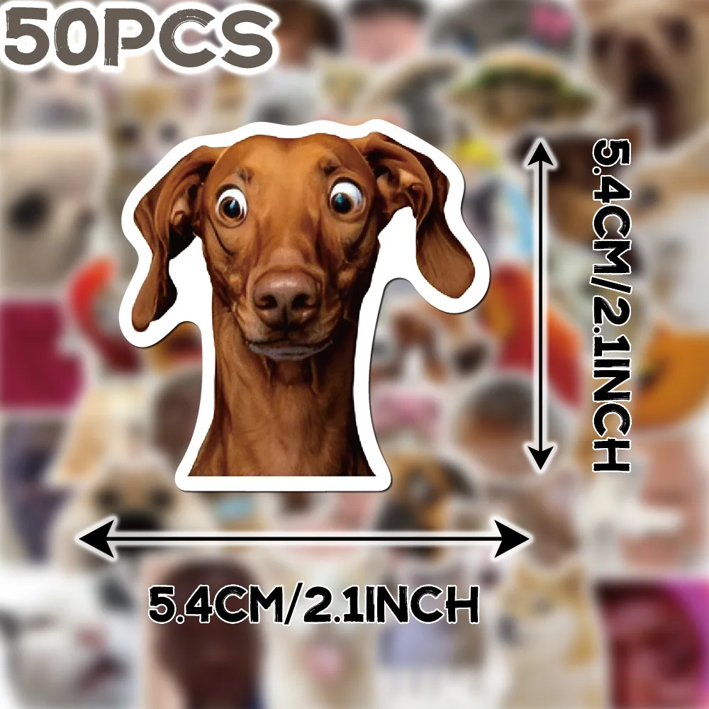 Fun internet meme stickers, designed with a unique and trendy style, simple to stick and widely applicable, can decorate H5901