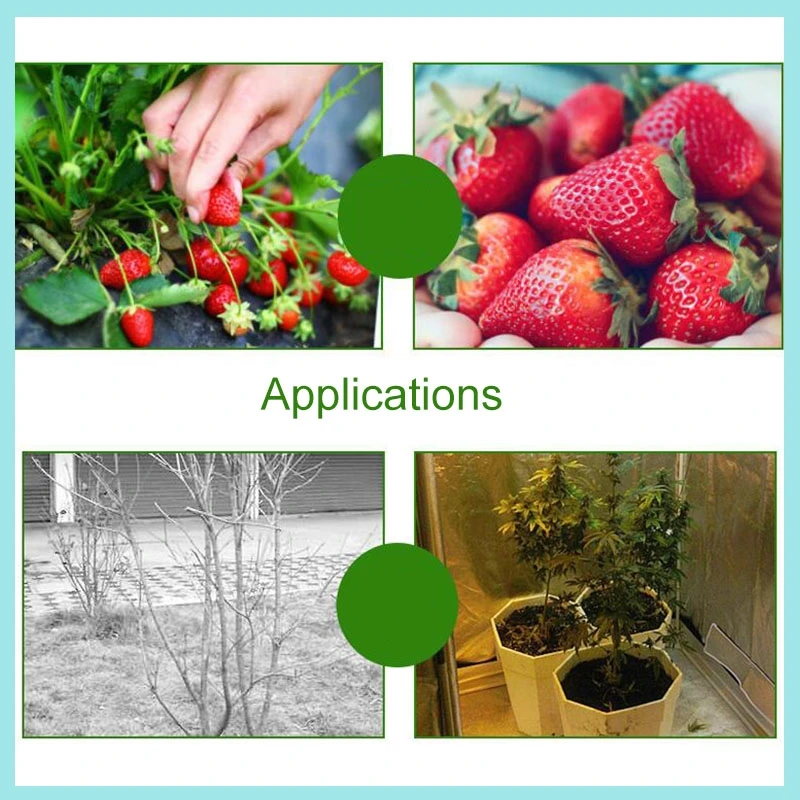 Bug Net Barrier Bag Garden Plant Fruit Vegetable Protection Cover Garden Tool Fruit Barrier Cover Bag Greenhouse Netting Insect